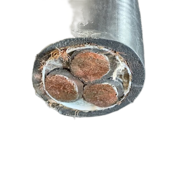 ������̳��hibet(�й�)�ٷ���վ