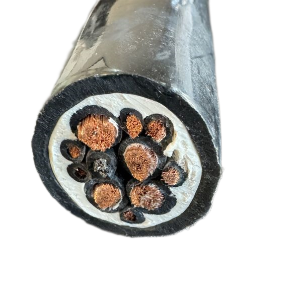 ������̳��hibet(�й�)�ٷ���վ