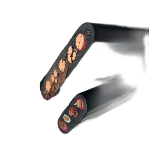 ������̳��hibet(�й�)�ٷ���վ