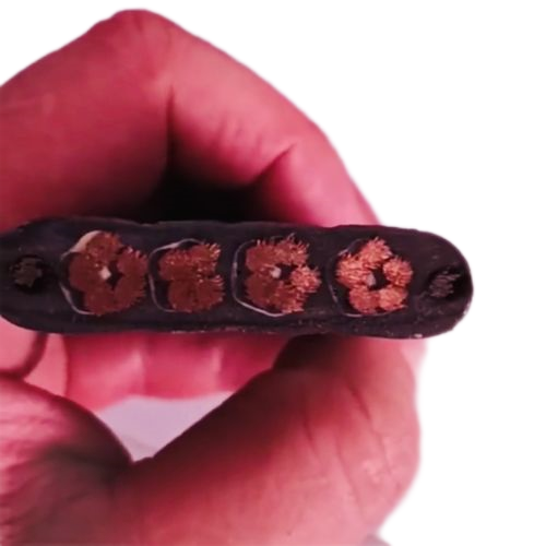 ������̳��hibet(�й�)�ٷ���վ