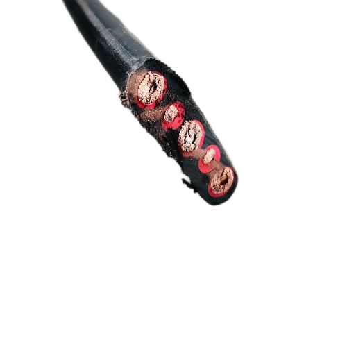 ������̳��hibet(�й�)�ٷ���վ