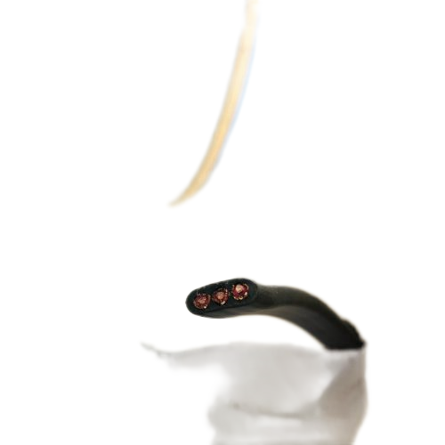 ������̳��hibet(�й�)�ٷ���վ