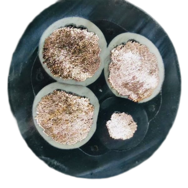 ������̳��hibet(�й�)�ٷ���վ