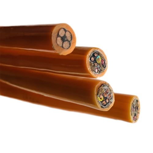 ������̳��hibet(�й�)�ٷ���վ