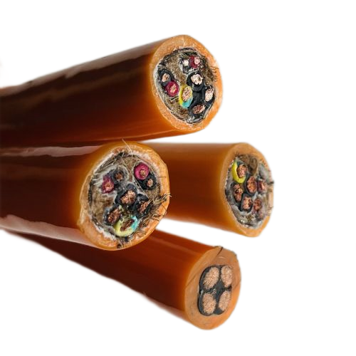 ������̳��hibet(�й�)�ٷ���վ