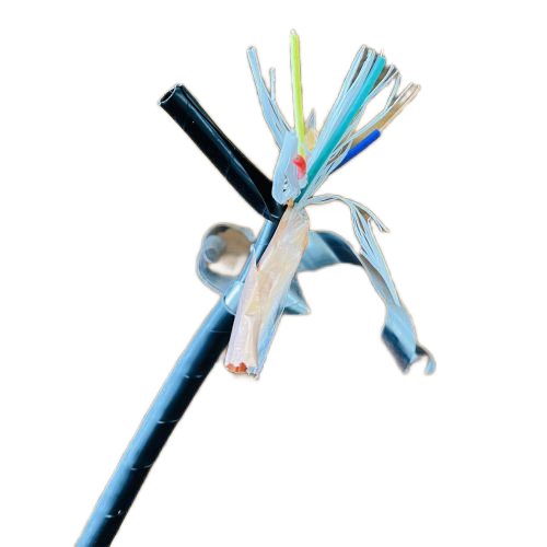 ������̳��hibet(�й�)�ٷ���վ