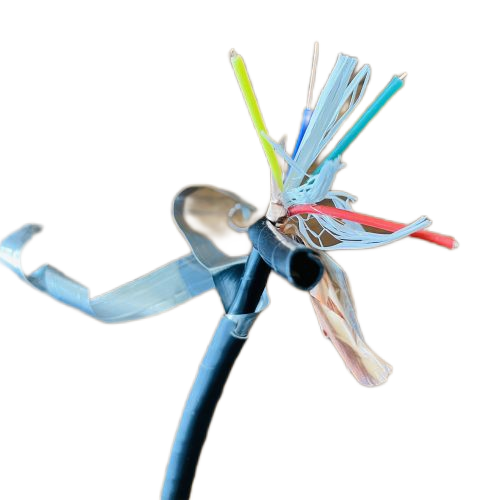 ������̳��hibet(�й�)�ٷ���վ