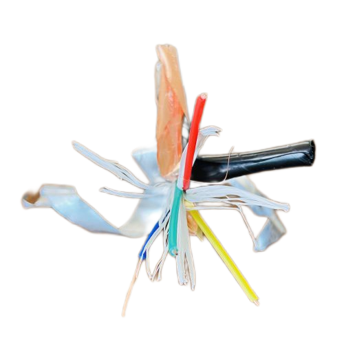 ������̳��hibet(�й�)�ٷ���վ