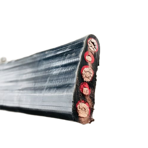 ������̳��hibet(�й�)�ٷ���վ