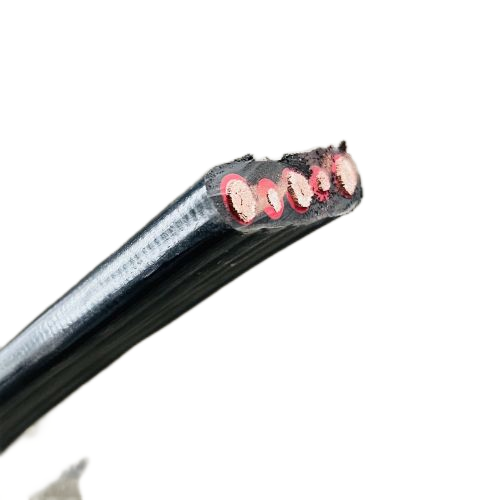 ������̳��hibet(�й�)�ٷ���վ