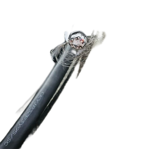 海博论坛·hibet(中国)官方网站