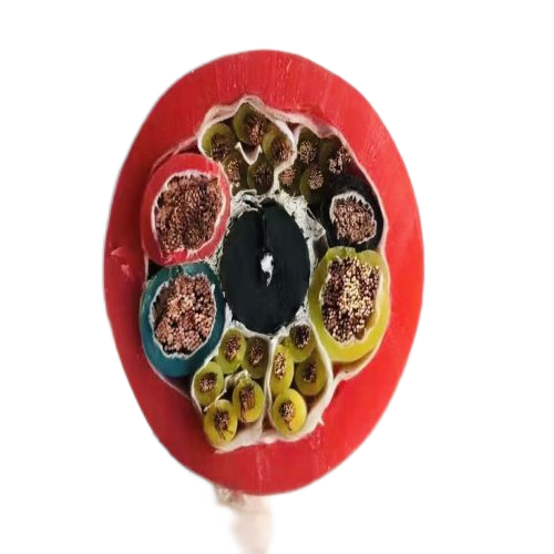 海博论坛·hibet(中国)官方网站