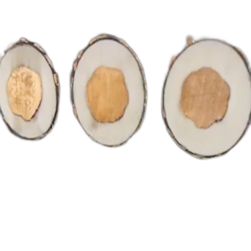 ������̳��hibet(�й�)�ٷ���վ