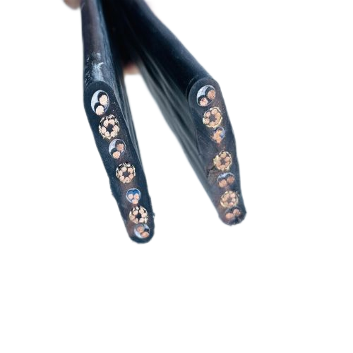 ������̳��hibet(�й�)�ٷ���վ