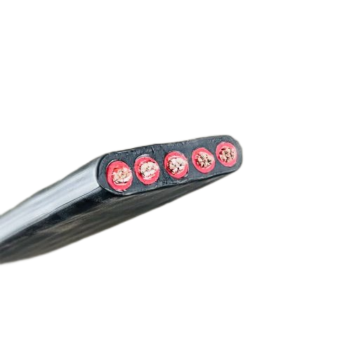 ������̳��hibet(�й�)�ٷ���վ