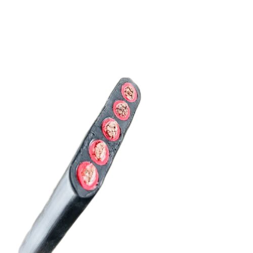 ������̳��hibet(�й�)�ٷ���վ