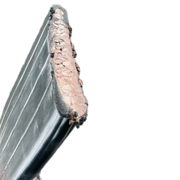 ������̳��hibet(�й�)�ٷ���վ