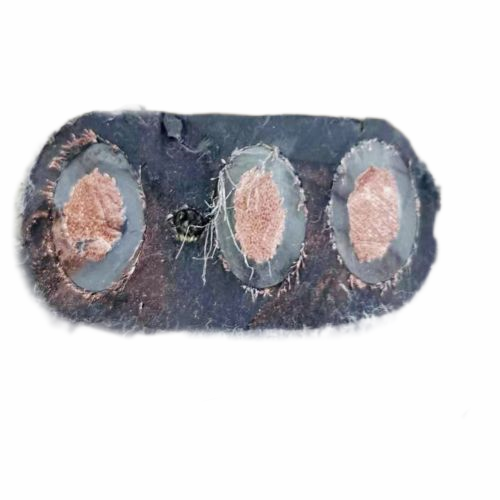 ������̳��hibet(�й�)�ٷ���վ