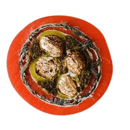 ������̳��hibet(�й�)�ٷ���վ