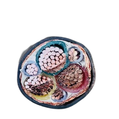 ������̳��hibet(�й�)�ٷ���վ