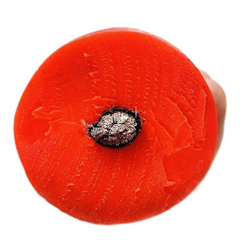 海博论坛·hibet(中国)官方网站