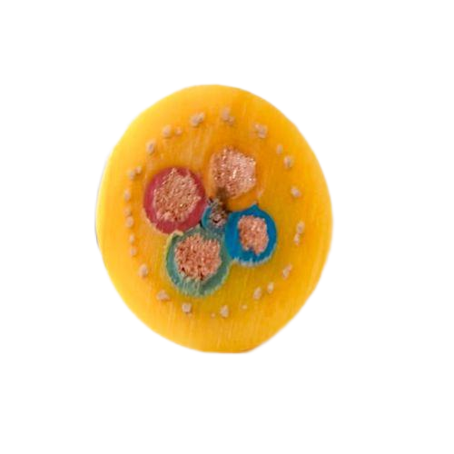 ������̳��hibet(�й�)�ٷ���վ