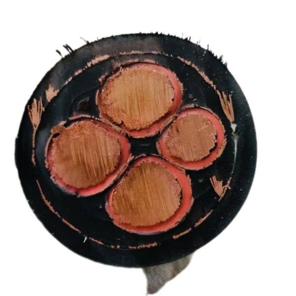 ������̳��hibet(�й�)�ٷ���վ