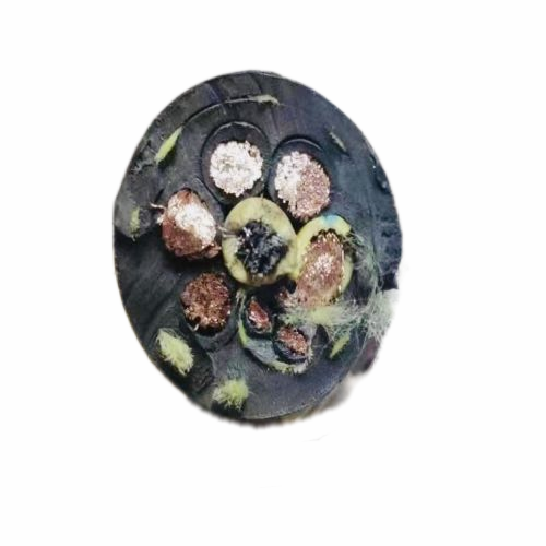 海博论坛·hibet(中国)官方网站