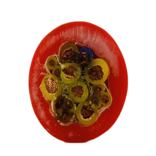 ������̳��hibet(�й�)�ٷ���վ