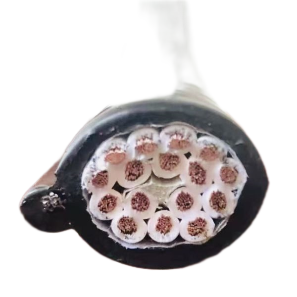 海博论坛·hibet(中国)官方网站