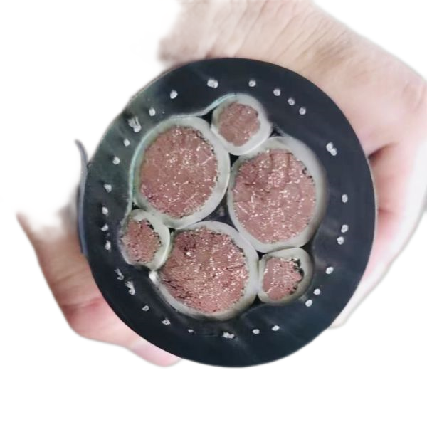 ������̳��hibet(�й�)�ٷ���վ