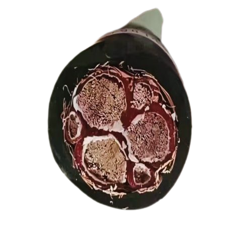 ������̳��hibet(�й�)�ٷ���վ