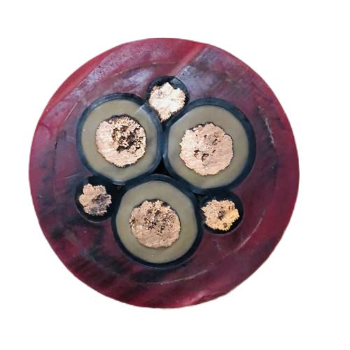 ������̳��hibet(�й�)�ٷ���վ