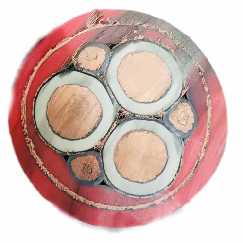 海博论坛·hibet(中国)官方网站