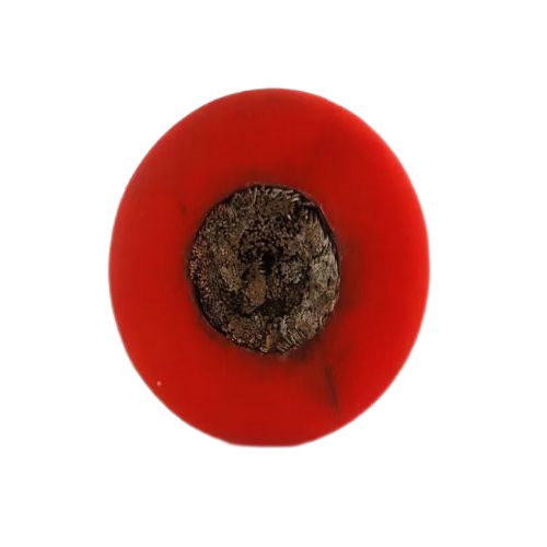 海博论坛·hibet(中国)官方网站